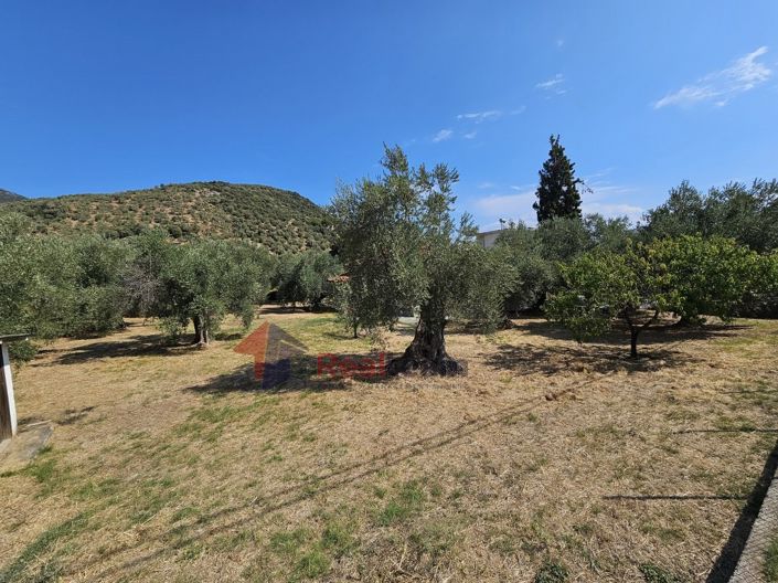 Image No.23-Propriété à vendre à Pteleos