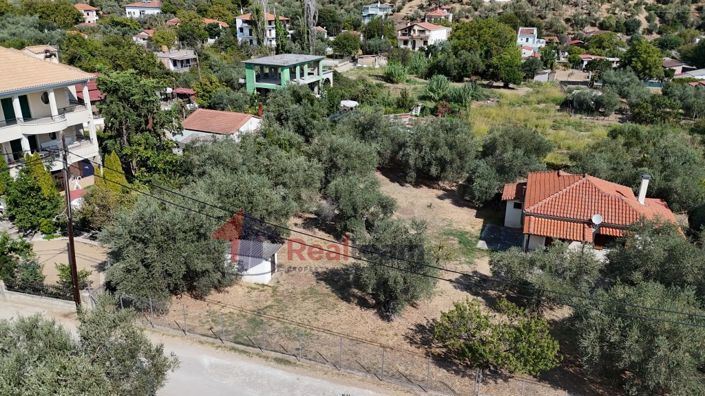 Image No.8-Propriété à vendre à Pteleos