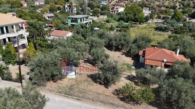 867369457237412c9018f85969d44bb0