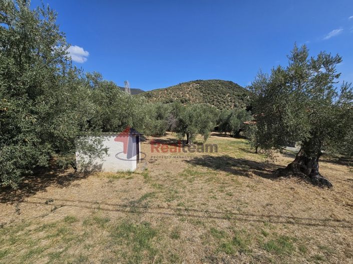 Image No.21-Propriété à vendre à Pteleos