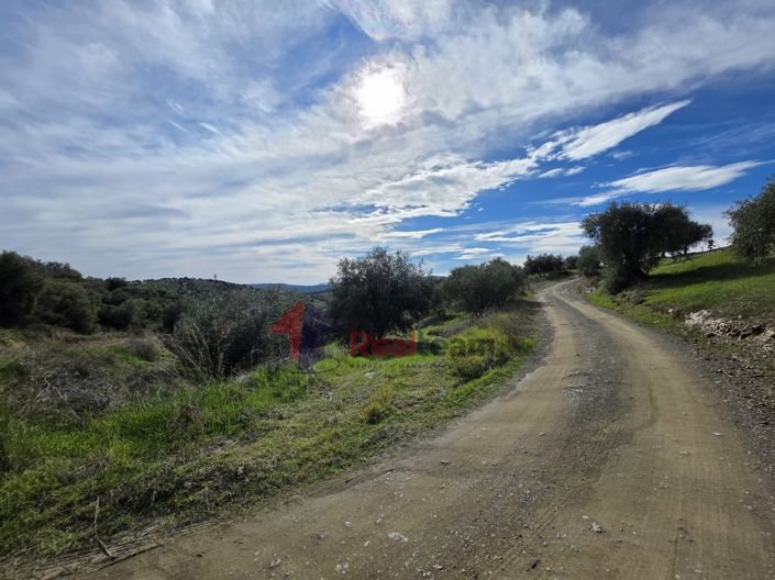 Image No.10-Property for sale