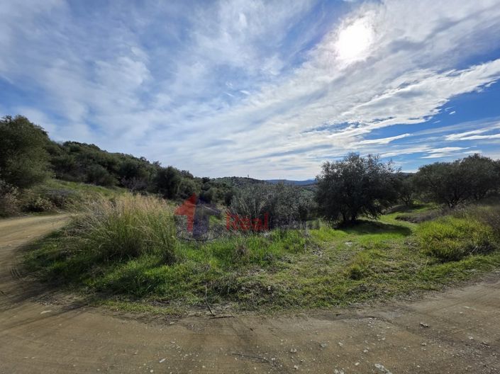 Image No.11-Property for sale