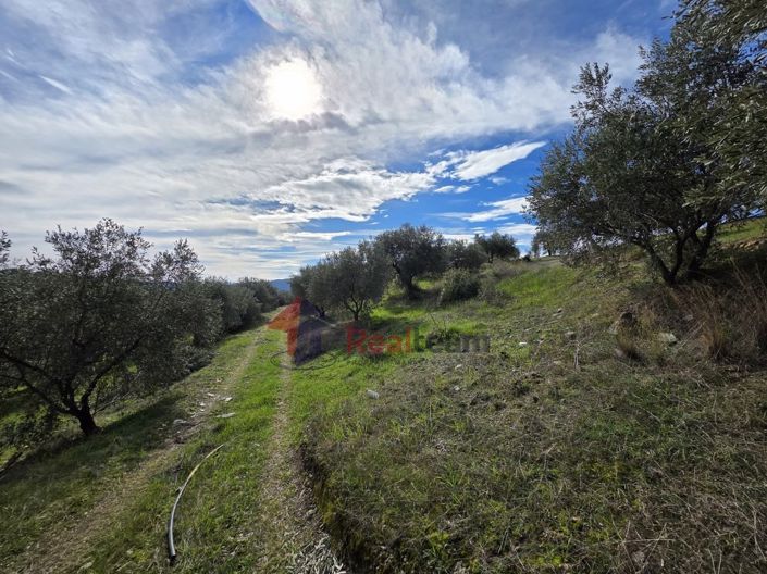 Image No.12-Property for sale