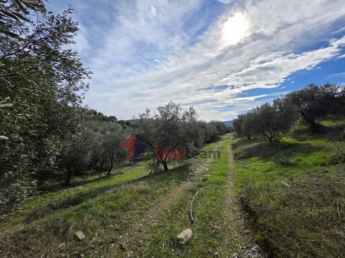 Image No.13-Property for sale