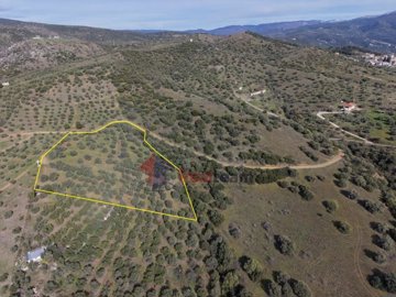 6f5febab81754ca6901692ec8e224f08