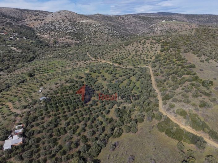 Image No.15-Property for sale