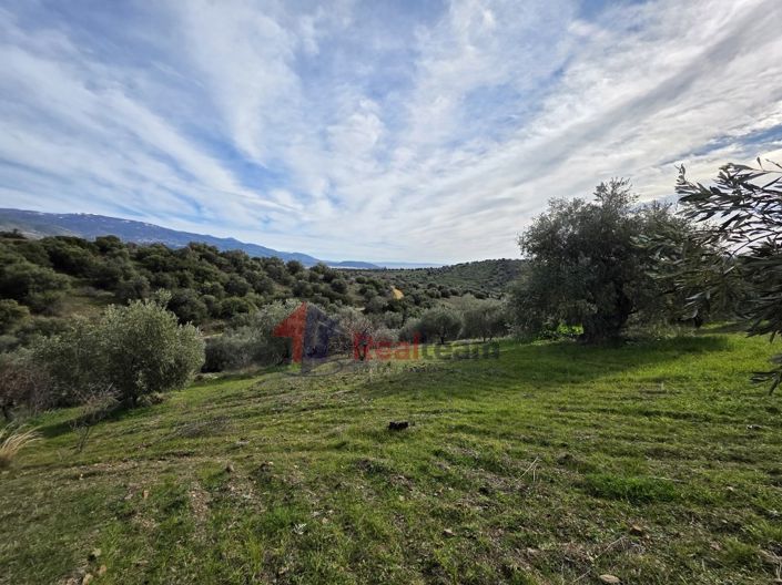 Image No.16-Property for sale