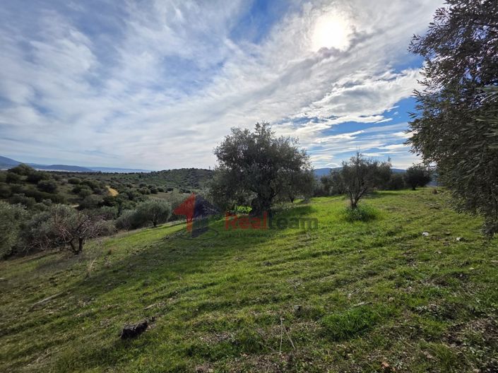 Image No.17-Property for sale