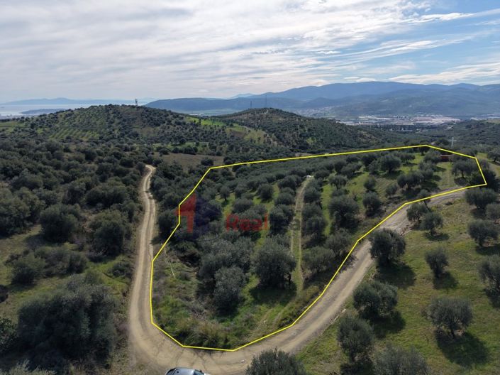 Image No.18-Property for sale