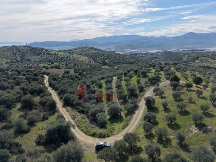 Image No.19-Property for sale