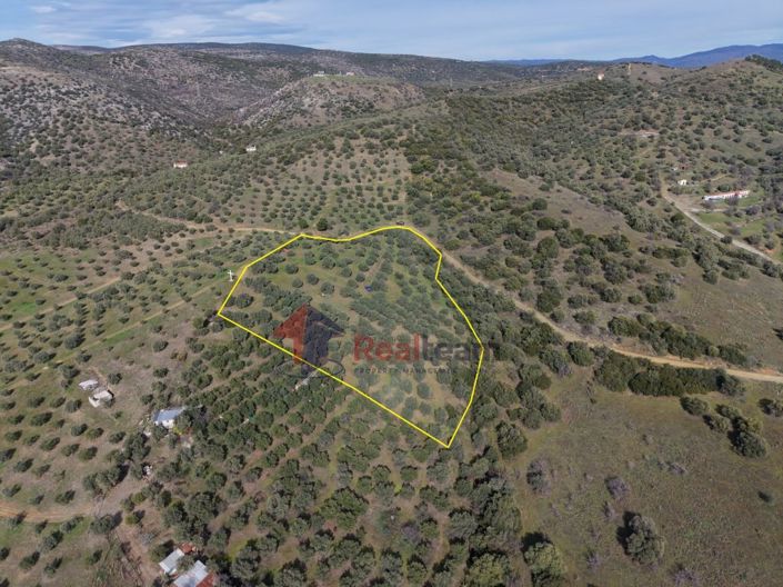 Image No.2-Property for sale