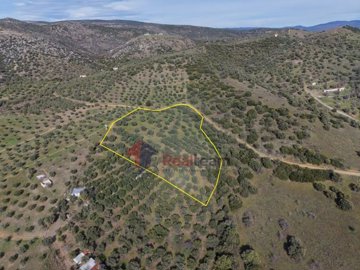 b54299c830d64e74af3192d5438377fa