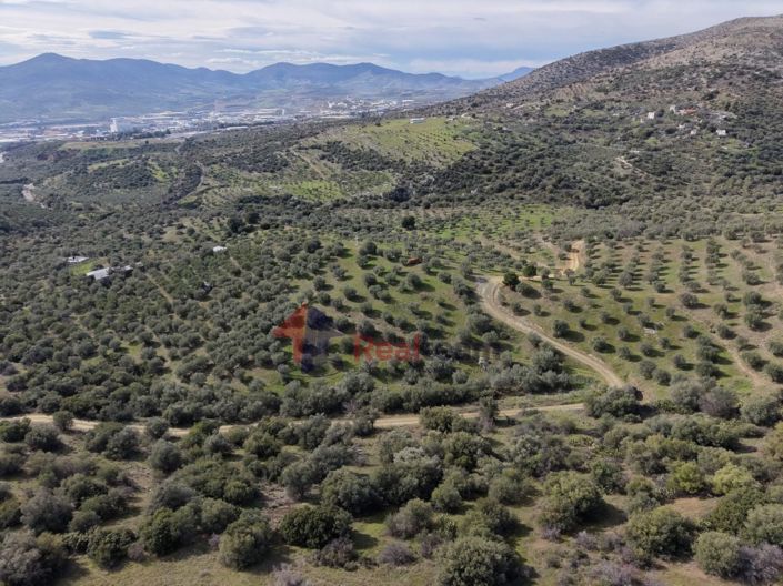 Image No.20-Property for sale