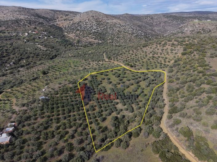 Image No.21-Property for sale