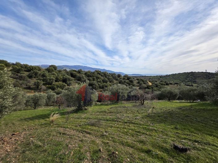 Image No.22-Property for sale