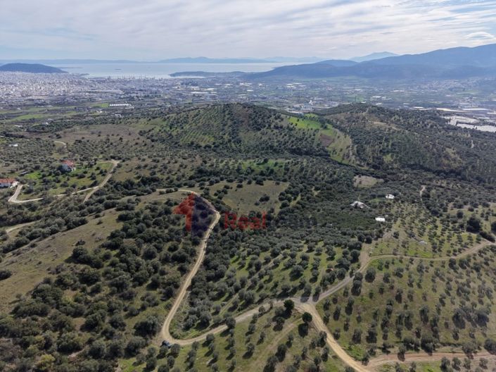 Image No.26-Property for sale