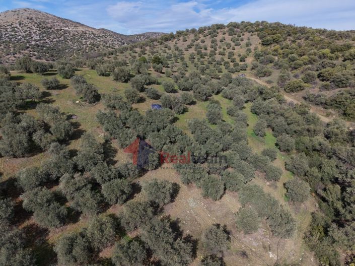 Image No.28-Property for sale