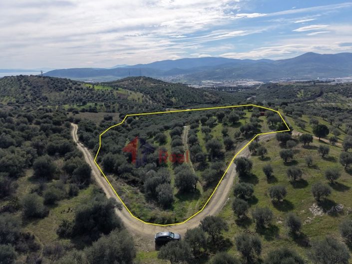 Image No.3-Property for sale