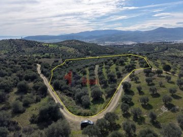 9780a92d76bb481dad80dc135883d89f