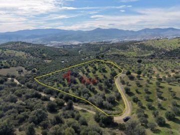 a767b62198014fd592eb9dab61a5c8c9