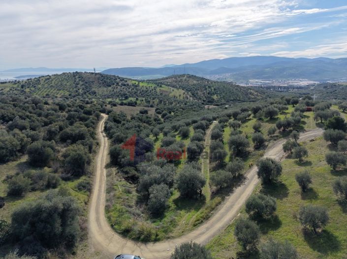 Image No.5-Property for sale