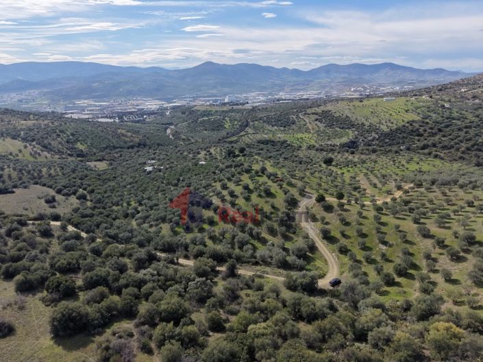 Image No.6-Property for sale