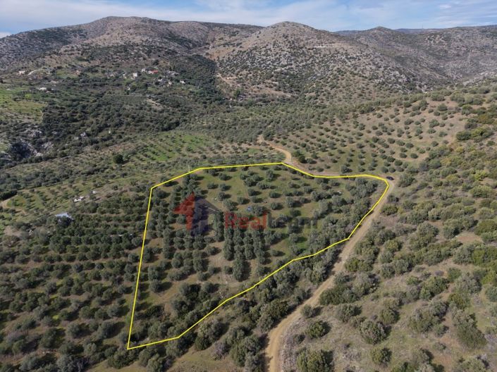 Image No.7-Property for sale