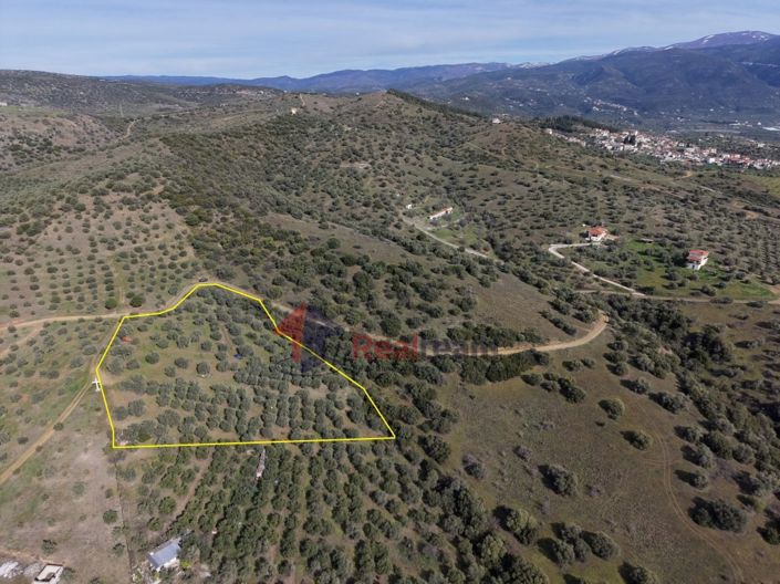 Image No.8-Property for sale