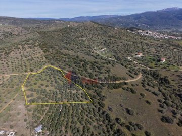 adc61b176c8e4fda9d5720598a8d35ba