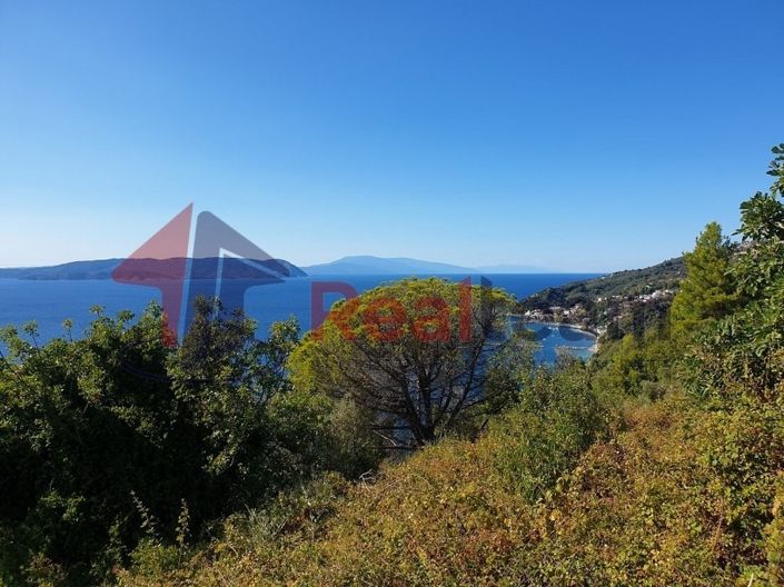 Image No.14-Propriété à vendre à Skopelos