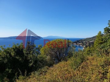 img415edf2c-137e-4416-b7a3-6fc76d824569