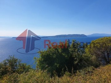 img7af04f93-8f05-4cb6-b11b-5683a58f65f3