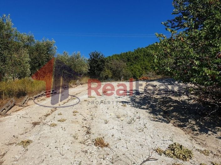 Image No.18-Propriété à vendre à Skopelos