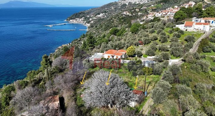 Image No.19-Property for sale