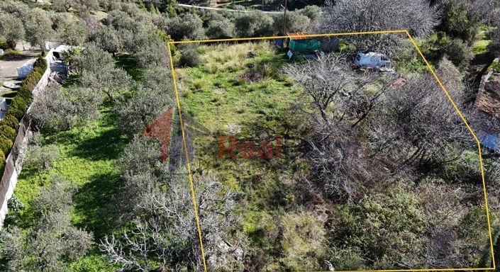 Image No.24-Property for sale