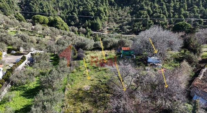 Image No.27-Property for sale