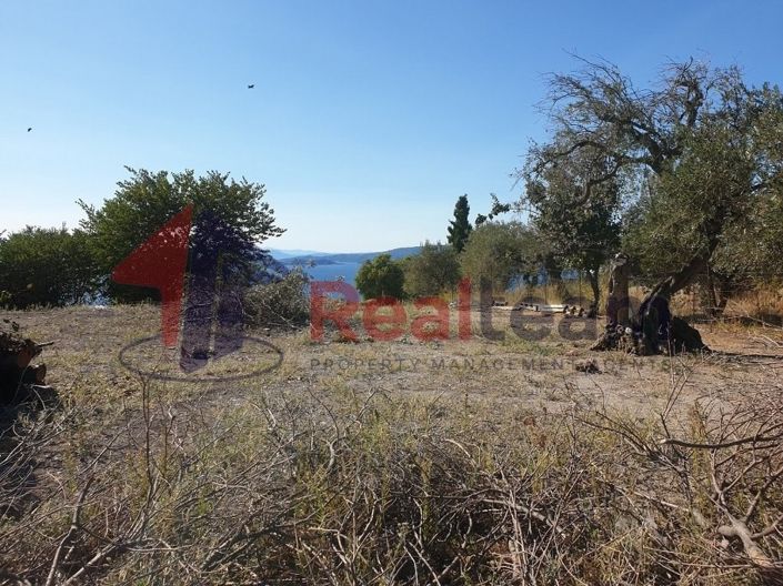 Image No.4-Propriété à vendre à Skopelos