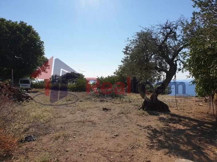 Image No.5-Propriété à vendre à Skopelos