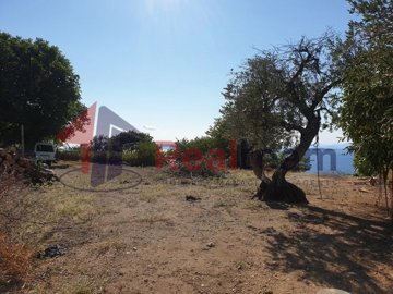 imge9f60d0d-0d80-4ec8-9f14-23d991ea5926