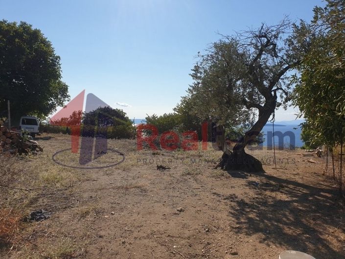 Image No.6-Propriété à vendre à Skopelos