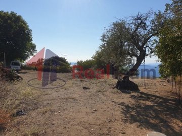 img74496dc2-311c-47da-8b47-cc4dbc3dd1c6