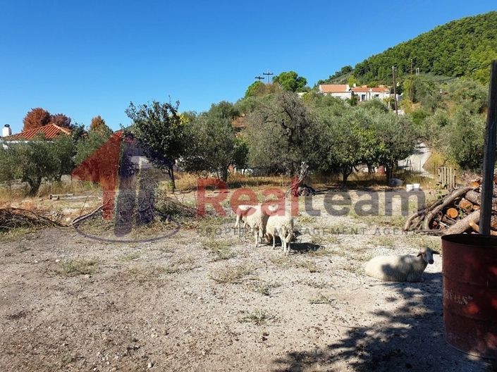 Image No.8-Propriété à vendre à Skopelos