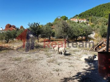 img58ea8aae-0be5-46ca-9014-bb4fc52e015e