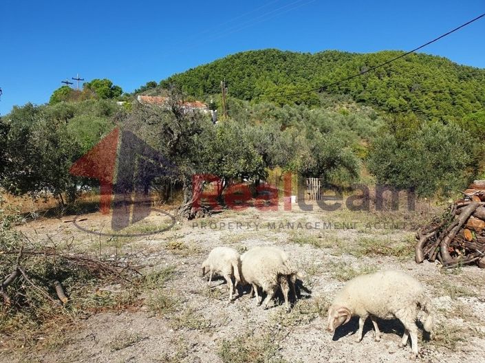 Image No.9-Propriété à vendre à Skopelos