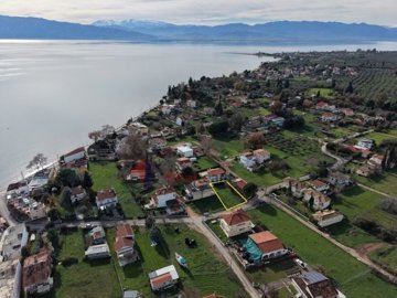 d16aa8c65af34259a91cd03527560ec6