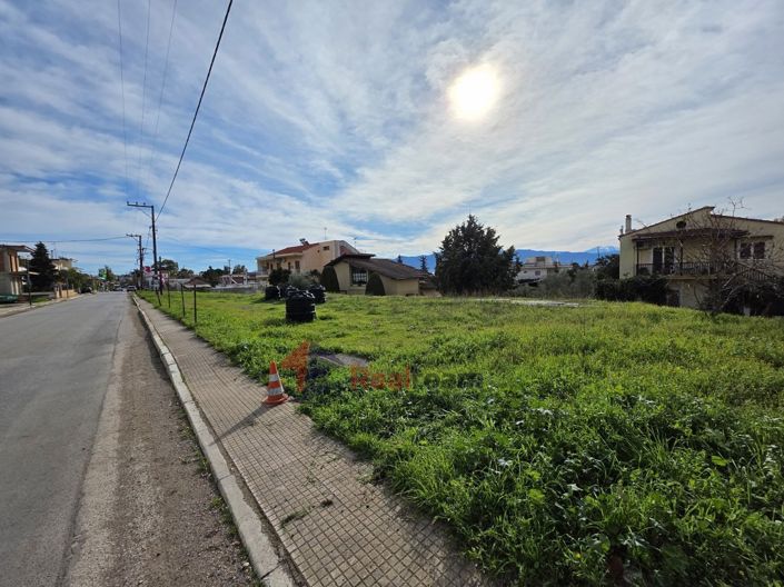 Image No.7-Propriété à vendre à Grèce