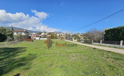 132abcde61ca4665b657013474a028e3