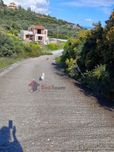 Image No.2-3 Bed Property for sale