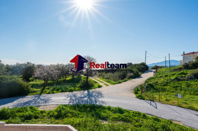 ff9f2a3aa1ce44cc82200eabb36653c7