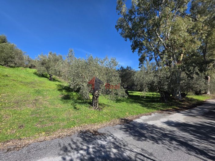 Image No.10-Property for sale